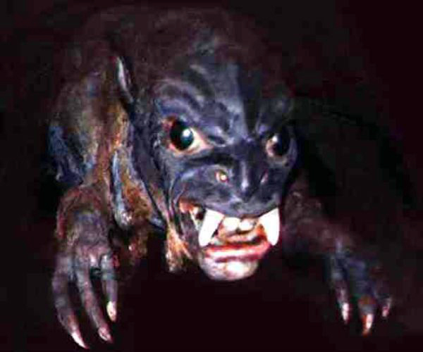 http://spikey.com/10-of-the-weirdest-creatures-ever-caught-on-camera/